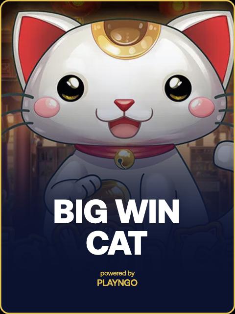 Big Win Cat